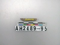 藏品(磨製石針)的圖片